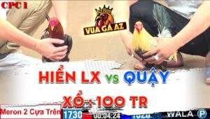 Trận 12 CPC1 13/05/2024 - Chú Hiển Long Xuyên Và Anh Quậy Xổ Đá 100