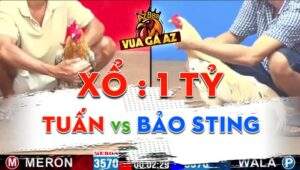 Trận 13 CPC2 Ngày 24/04/2024 - Anh Tuấn Và Anh Bảo Sting Xổ Đá 1 Tỷ