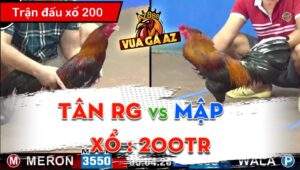 Trận 16 CPC3 13/06/2024 - Anh Tân Rạch Giá Trở Lại Bằng 1 Chiến Thắng