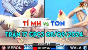 Trận 17 CPC3 08/09/2024 - Gà Anh Ton Canh Đúng Thời Điểm Kết Liễu