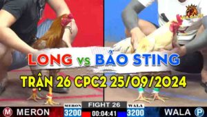 Trận 26 CPC2 25/09/2024 - Anh Long Hạ Đẹp Anh Bảo Sting