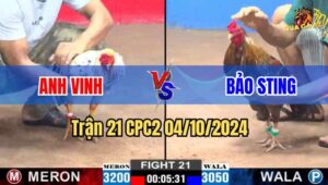 Trận 21 CPC2 04/10/2024 giữa anh Vinh và anh Bảo Sting