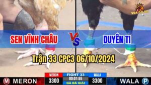 Trận 33 Giải CPC3 06/10/2024 giữa anh Sen Vĩnh Châu và anh Duyên Ti