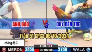 Trận 51 CPC3 06/10/2024 giữa anh Bảo và anh Duy Bến Tre