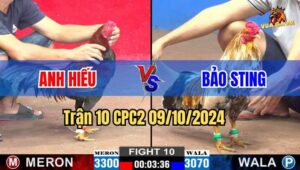 Trận 10 CPC2 09/10/2024 giữa anh Hiếu và anh Bảo Sting