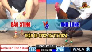 Trận 18 CPC2 Ngày 15/11/2024 - Anh Bảo Sting Chấp Ngông Bị Đá Bay Bồ