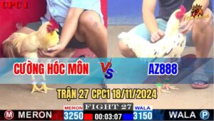 Trận 27 CPC1 18/11/2024 - Gà AZ888 Đá 1 Chân Trí Mạng Hạ Gà Anh Cương