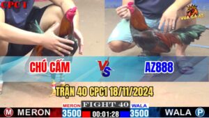 Trận 40 CPC1 18/11/2024 - Gà AZ888 Hạ Tuyệt Đối Gà Chú Cấm
