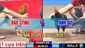 Trận 22 CPC2 27/11/2024 - Anh Bảo Sting Cáp Kèo Dị Và Cái Kết