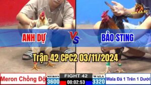 Trận 42 CPC2 03/11/2024 giữa anh Dự và anh Bảo Sting