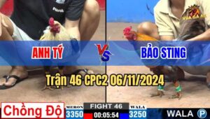 Trận 46 CPC2 06/11/2024 giữa anh Bảo Sting và anh Tuấn Sài Gòn