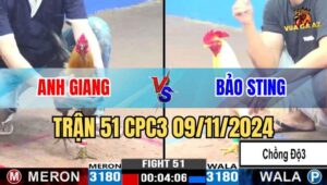 Trận 51 CPC3 09/11/2024 giữa anh Giang và anh Bảo Sting
