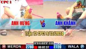 Trận 12 CPC1 9/12/2024 - Gà Cú Anh Hưng Xin Nhẹ Cái Chân Gà Anh Khánh