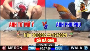 Trận 20 CPC2 22/12/2024 Giữa Anh Tư Mã Ý Và Anh Phu Phu