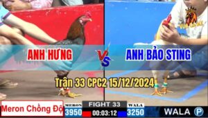 Trận 33 CPC2 15/12/2024 - Anh Bảo Sting Dính Xương Nặng Hết Gỡ