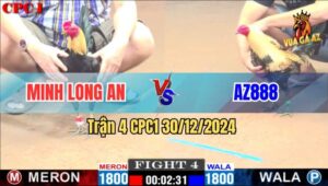 Trận 4 CPC1 30/12/2024 - Gà AZ888 Đá Bể Bọng Gà Má Minh