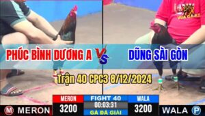 Trận 40 CPC3 8/12/2024 - Anh Phúc Bình Dương A Và Anh Dũng Sài Gòn