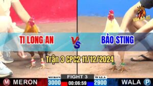 Trận 3 CPC2 11/12/2024  - Mẻ Hiệu Của Ông Hoàng Wala Quá Đẳng Cấp