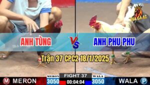 Trận 37 CPC2 19/1/2025 - Anh Phu Phu Tới Tang Thua 3 Trận Thông