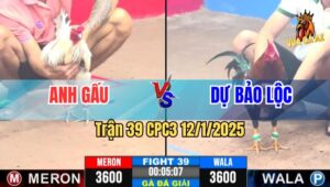 Trận 39 Giải CPC3 12/1/2025 - Anh Gấu Vs Dự Bảo Lộc