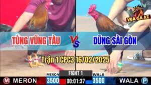 Trận 1 CPC3 16/2/2025 - Anh Tùng Vũng Tàu Mở Bát Canh Đá 2 Chân Có Lúa