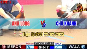 Trận 13 CPC1 22/2/2025 Gà Chú Khanh Kém 2 Chấm Đá Gà Anh Long Tắt Điện
