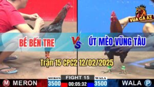 Trận 15 CPC2 12/2/2025 Anh Bé Và Anh Út Mèo Kẻ Tám Lạng Người Nữa Cân