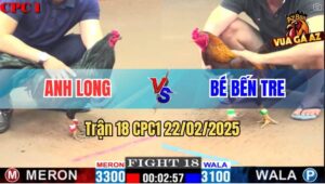 Trận 18 CPC1 22/2/2025 - Gà Anh Bé Kém 2 Chấm Đá Gà Anh Long Bại Liệt