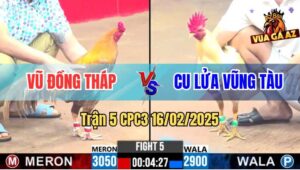 Trận 5 CPC3 16/2/2025 - Nhỏ Mà Đâm Bự Vạo Không Nổi