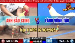 Trận 11 CPC2 2/3/2025 - Đẳng Nài Gà Anh Bảo Sting Thoát Thua Ngoạn Mục