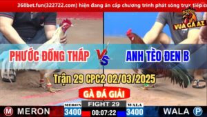 Trận 29 CPC2 2/3/2025 - Anh Bảo Sting Thả Gà Hạ Anh Phước Đồng Tháp 