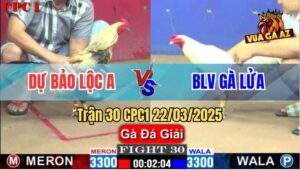 Trận 30 CPC1 22/3/2025 - BLV Gà Lửa Được 6 Điểm Sau 2 Vòng Đấu