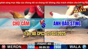 Trận 40 CPC2 12/3/2025 - Bướm Hiệu Anh Bảo Sting Đâm Cựa Quá Tịch