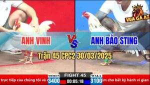 Trận 45 CPC2 30/3/2025 - Bảo Sting Kém 3 Chấm Sửa Gà Dẫn Hòa Đẳng Cấp