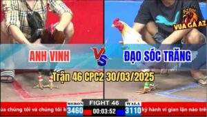 Trận 46 CPC2 30/3/2025 - Điều Chân Xanh Anh Vinh Đâm Cựa Bao Thấm