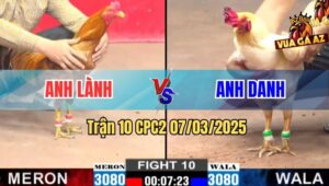 Trận 10 CPC2 7/3/2025 - Gà Khét Anh Lành Đá Chạy Kiệu Quá Khôn Khéo