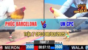 Trận 7 CPC3 8/3/2025 - Anh Un CPC Đối Đầu Huyền Thoại Phúc Bình Dương