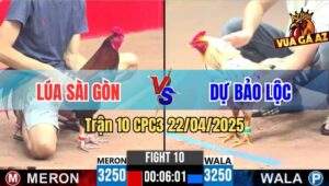 Trận 10 CPC3 22/4/2025 - Anh Lúa Sài Gòn Và Anh Dự Bảo Lộc, Xổ Đá 200