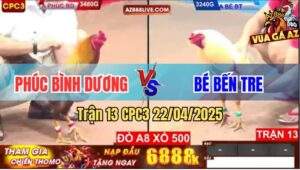Trận 13 CPC3 22/4/2025 - Gà Úa Anh Bé Đá Gà Khét Chú Phúc Bay Bồ
