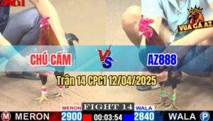 Trận 14 CPC1 12/4/2025 - Gà Điều AZ888 Có Chân Xạo Lờ, Lật Kèo 5 lai