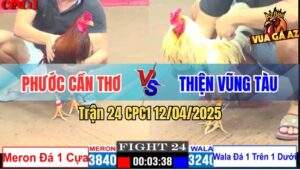 Trận 24 CPC1 12/4/2025 - Gà Anh Thiện Kém 6 Chấm Đá Gà Bự Chạy Chết