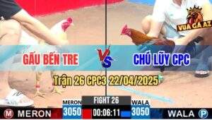 Trận 26 CPC3 22/4/2025 - Gà Anh Gấu Bẻ Giò Xanh Hiệu Tính Gaking