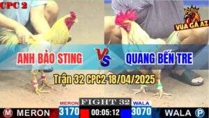 Trận 32 CPC2 18/4/2025 - Khét Sữa Anh Sting Bảo Đá Banh Xác Gà Bướm