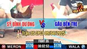 Trận 35 CPC3 9/4/2025 - Gà Anh Gấu Đá Đã Chân Xong Ăn Lại Cây Lật Xe