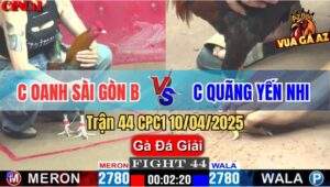 Trận 44 CPC1 10/4/2025 - Chị Oanh Sài Gòn B Và Chị Quãng Yến Nhi