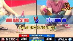 Trận 48 CPC3 22/4/2025 - Anh Bảo Sting Và Hậu Long An Cầm Chân Nhau