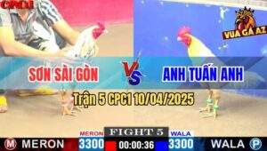 Trận 5 CPC1 10/4/2025 - Anh Sơn Sài Gòn Đụng Anh Tuấn Anh