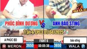 Trận 6 CPC3 1/4/2025 - Chú Phúc Bình Dương Và Anh Bảo Sting, Xổ 1 Tỷ