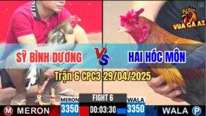 Trận 6 CPC3 29/4/2025 - Gà Cú Anh Sỹ Bình Dương Xử Gọn Gà Điều Anh Hai