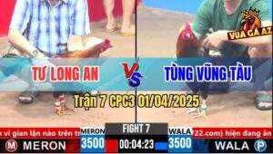 Trận 7 CPC3 1/4/2025 - Anh Tư Long An Và Anh Tùng Vũng Tàu